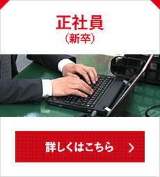 正社員（新卒）